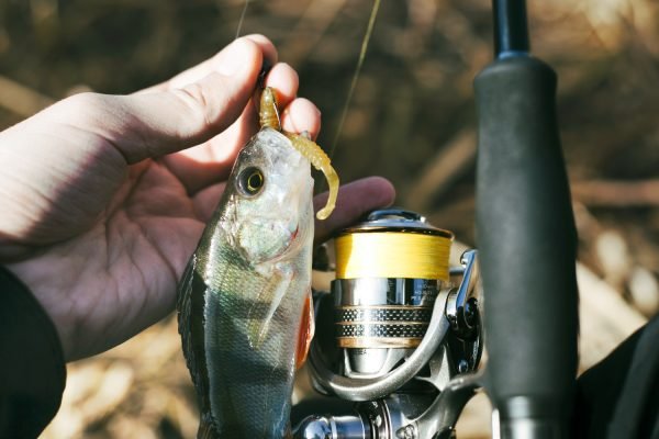 Ryobi Макари за риболов|