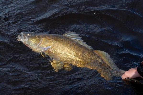 Джиг риболов от лодка