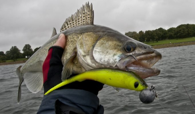 риболов на джиг